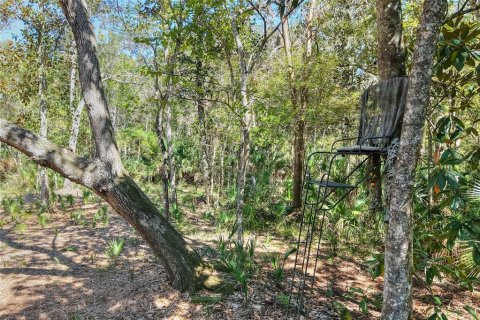 Land in Weeki Wachee, Florida № 2106264 - photo 17