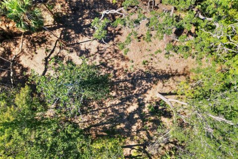 Land in Weeki Wachee, Florida № 2106264 - photo 30
