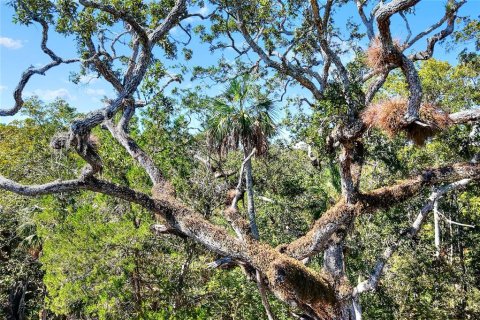Land in Weeki Wachee, Florida № 2106264 - photo 24