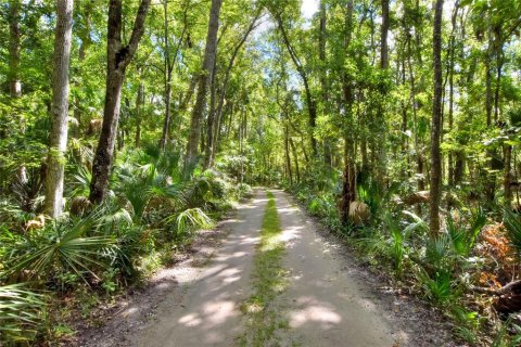 Terrain à Weeki Wachee, Floride № 2106264