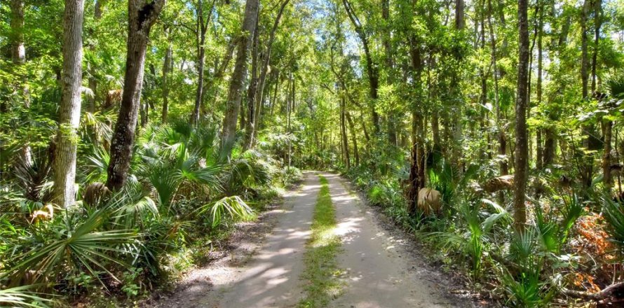 Land in Weeki Wachee, Florida № 2106264