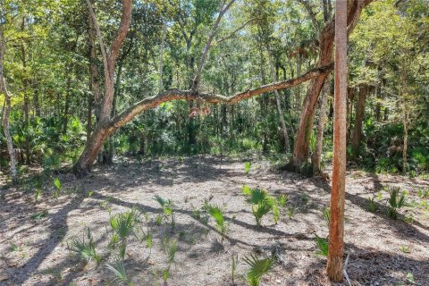 Land in Weeki Wachee, Florida № 2106264 - photo 14