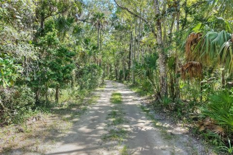 Land in Weeki Wachee, Florida № 2106264 - photo 10