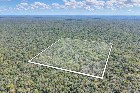 Land in Weeki Wachee, Florida № 2106264 - photo 2