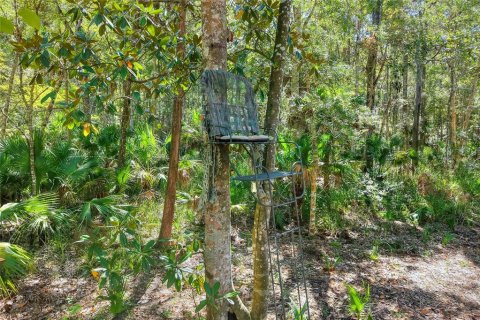 Land in Weeki Wachee, Florida № 2106264 - photo 19