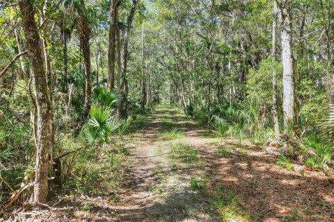 Land in Weeki Wachee, Florida № 2106264 - photo 9