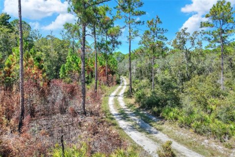Land in Weeki Wachee, Florida № 2106264 - photo 6