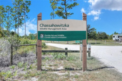 Land in Weeki Wachee, Florida № 2106264 - photo 3
