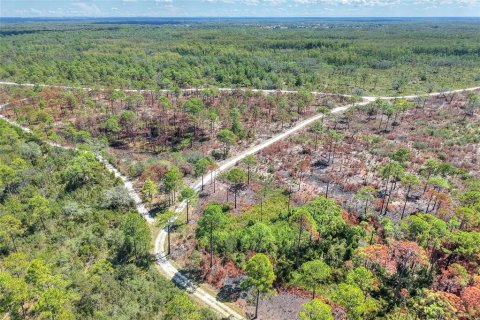 Land in Weeki Wachee, Florida № 2106264 - photo 4