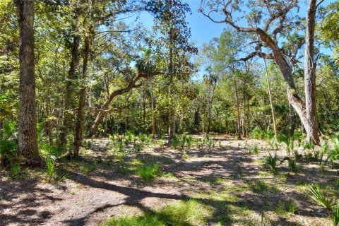 Land in Weeki Wachee, Florida № 2106264 - photo 12