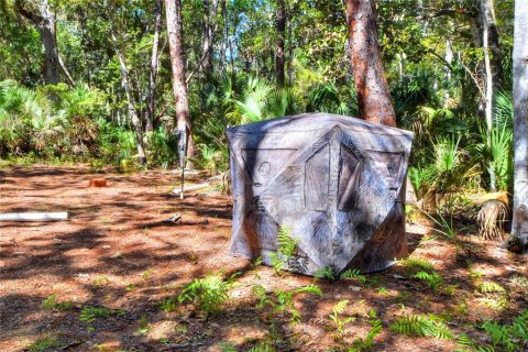 Land in Weeki Wachee, Florida № 2106264 - photo 28
