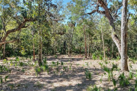 Land in Weeki Wachee, Florida № 2106264 - photo 13