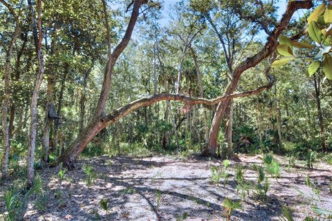 Land in Weeki Wachee, Florida № 2106264 - photo 15