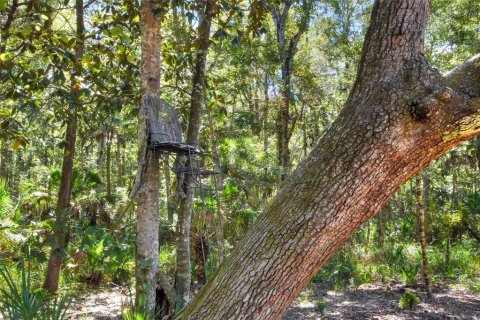 Land in Weeki Wachee, Florida № 2106264 - photo 18