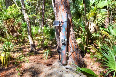 Land in Weeki Wachee, Florida № 2106264 - photo 29