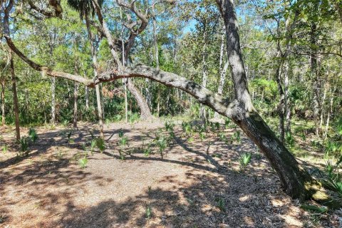 Land in Weeki Wachee, Florida № 2106264 - photo 16