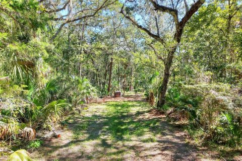 Land in Weeki Wachee, Florida № 2106264 - photo 25