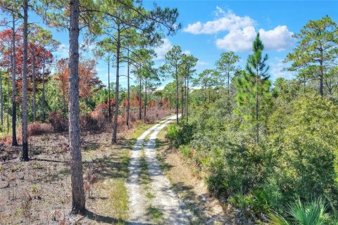 Land in Weeki Wachee, Florida № 2106264 - photo 7