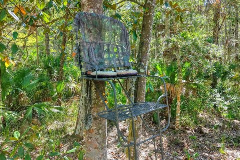 Land in Weeki Wachee, Florida № 2106264 - photo 20