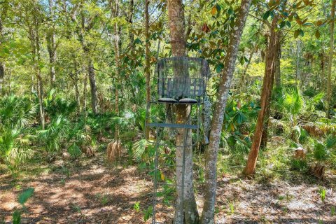 Land in Weeki Wachee, Florida № 2106264 - photo 21