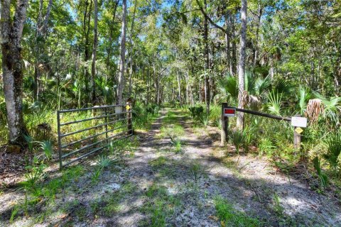 Land in Weeki Wachee, Florida № 2106264 - photo 11