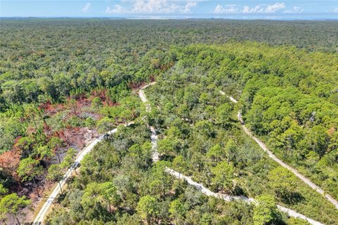 Land in Weeki Wachee, Florida № 2106264 - photo 5