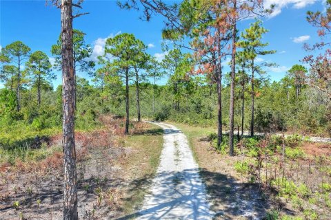 Land in Weeki Wachee, Florida № 2106264 - photo 8