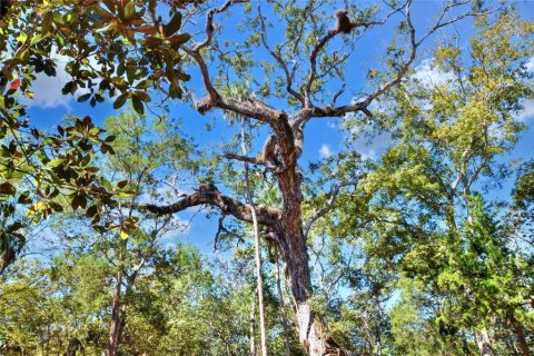 Land in Weeki Wachee, Florida № 2106264 - photo 23