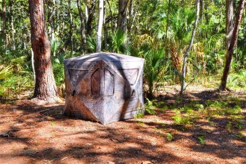 Land in Weeki Wachee, Florida № 2106264 - photo 26