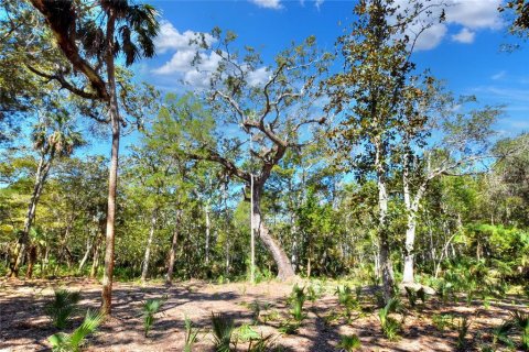 Land in Weeki Wachee, Florida № 2106264 - photo 22