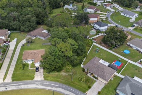 Land in Kissimmee, Florida № 1884525 - photo 5