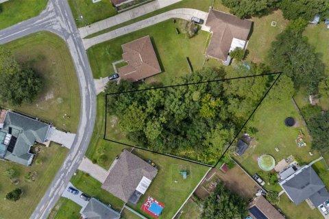 Land in Kissimmee, Florida № 1884525 - photo 1