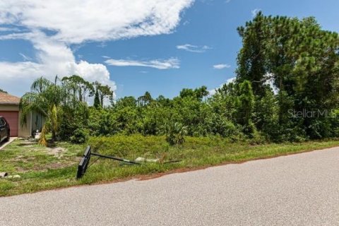 Land in Port Charlotte, Florida № 2273240 - photo 3