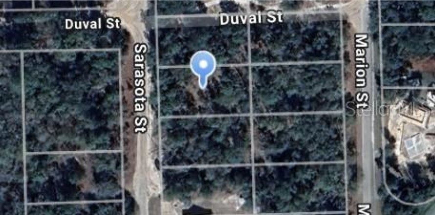 Land in Florahome, Florida № 2164196