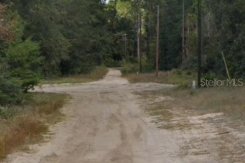 Land in Florahome, Florida № 2164196 - photo 3