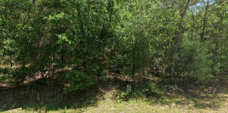 Land in Dunnellon, Florida № 2159749