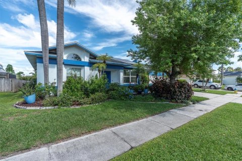 House in Tampa, Florida 4 bedrooms, 206.06 sq.m. № 1913593 - photo 6