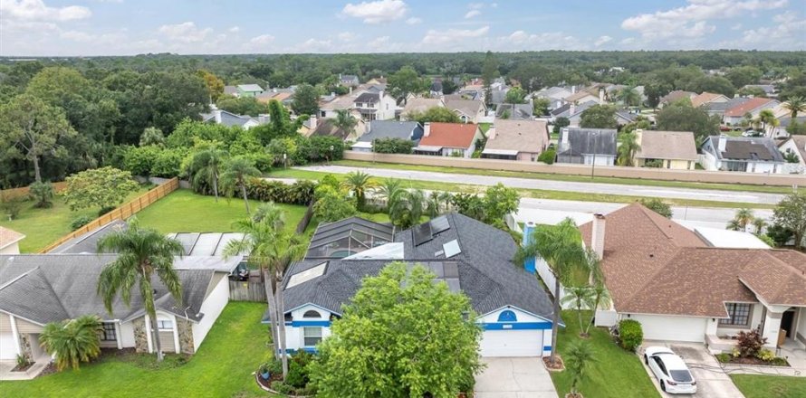 House in Tampa, Florida 4 bedrooms, 206.06 sq.m. № 1913593