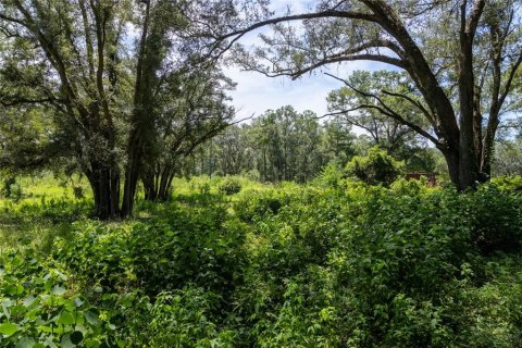Land in Fort White, Florida № 2334217