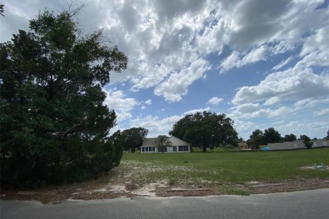 Terrain à vendre à Dade City, Floride № 2159808 - photo 5