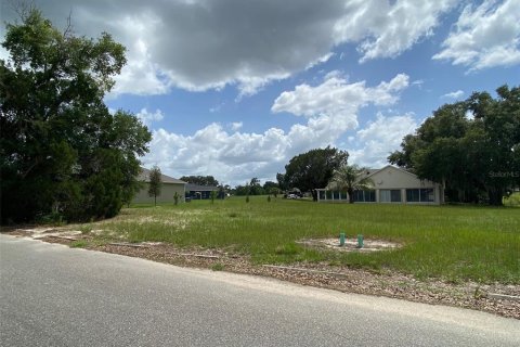 Terrain à vendre à Dade City, Floride № 2159808 - photo 4