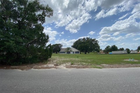 Terrain à Dade City, Floride № 2159808