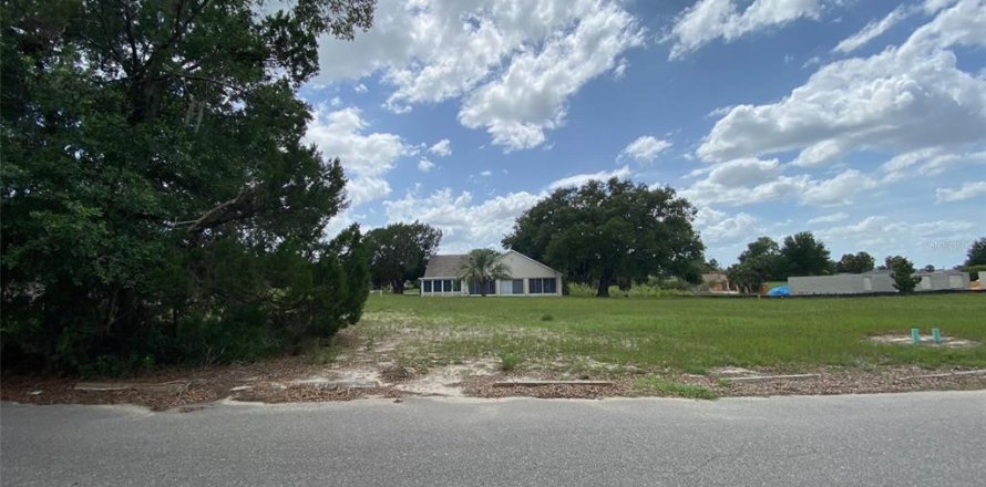Terrain à Dade City, Floride № 2159808