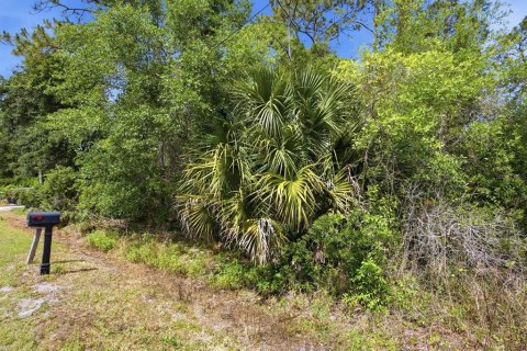 Terrain à vendre à DeLand, Floride № 2160793 - photo 5
