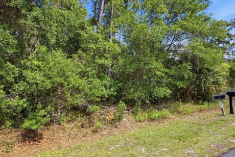 Terrain à vendre à DeLand, Floride № 2160793 - photo 6