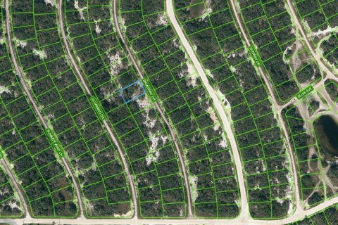 Land in Lake Placid, Florida № 2236198
