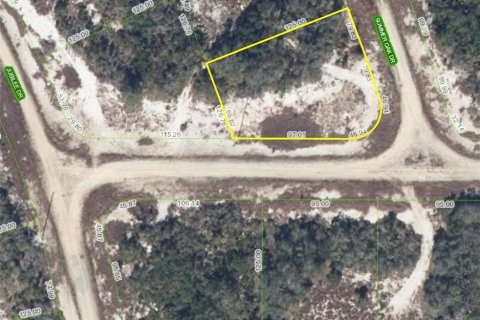 Land in Lake Placid, Florida № 2165522