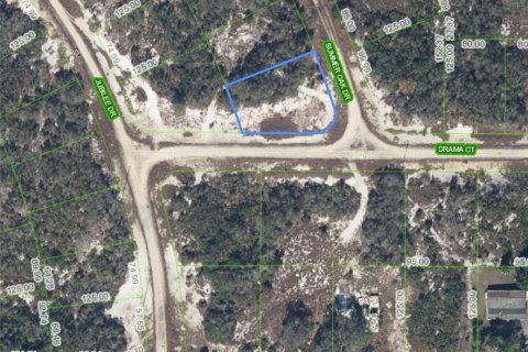 Land in Lake Placid, Florida № 2165522 - photo 2