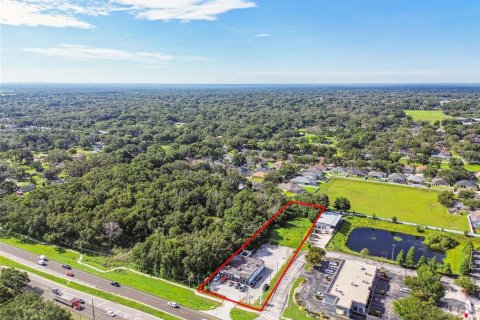 Commercial property in Valrico, Florida 416.95 sq.m. № 1816131 - photo 5