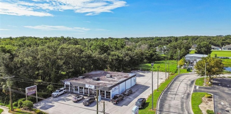 Commercial property in Valrico, Florida 416.95 sq.m. № 1816131